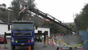 Servicios